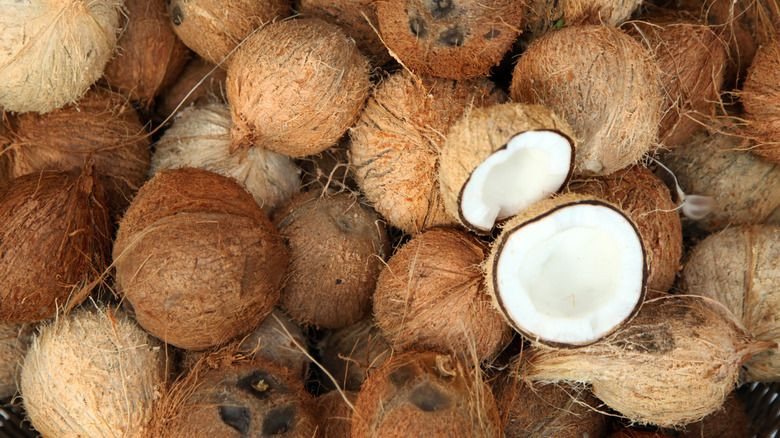 Fresh Coconut Fruit