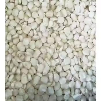 Quantity White Corn For Wholesales