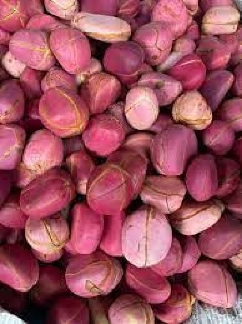 Fresh Premuim Kola nut