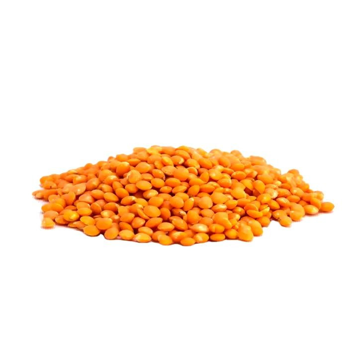 Dried Red Lentils