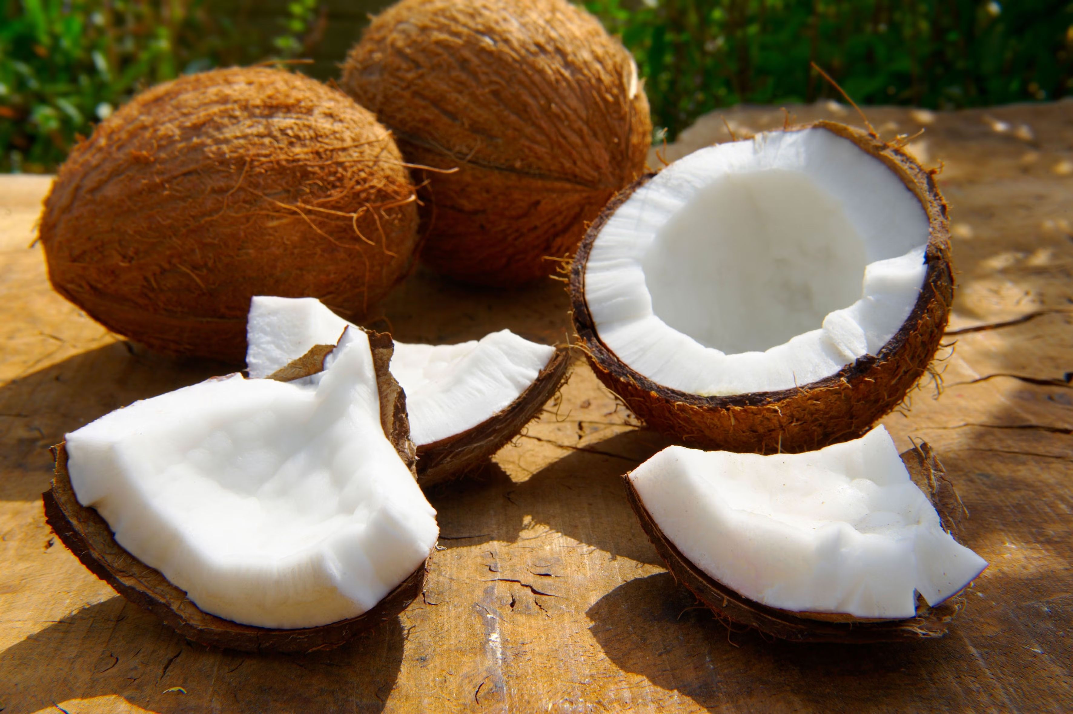 Fresh Coconut Fruit