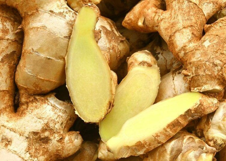 Fresh ginger, Dried ginger and split Ginger